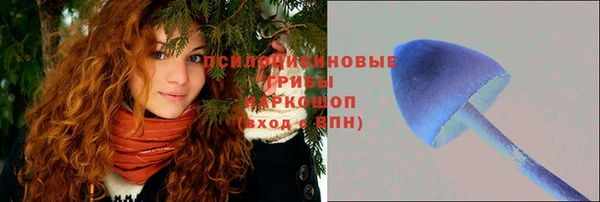 не бодяженный Алексин