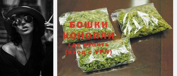 винт Нягань