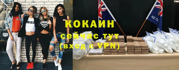 не бодяженный Алексин