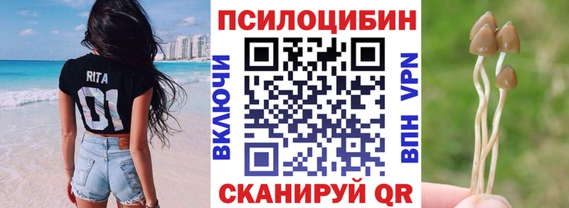 Галлюциногенные грибы Psilocybe  Харовск 